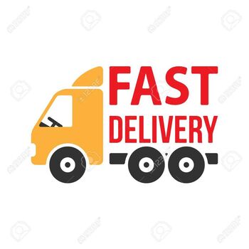 49391308-fast-delivery-icon-flat.jpg